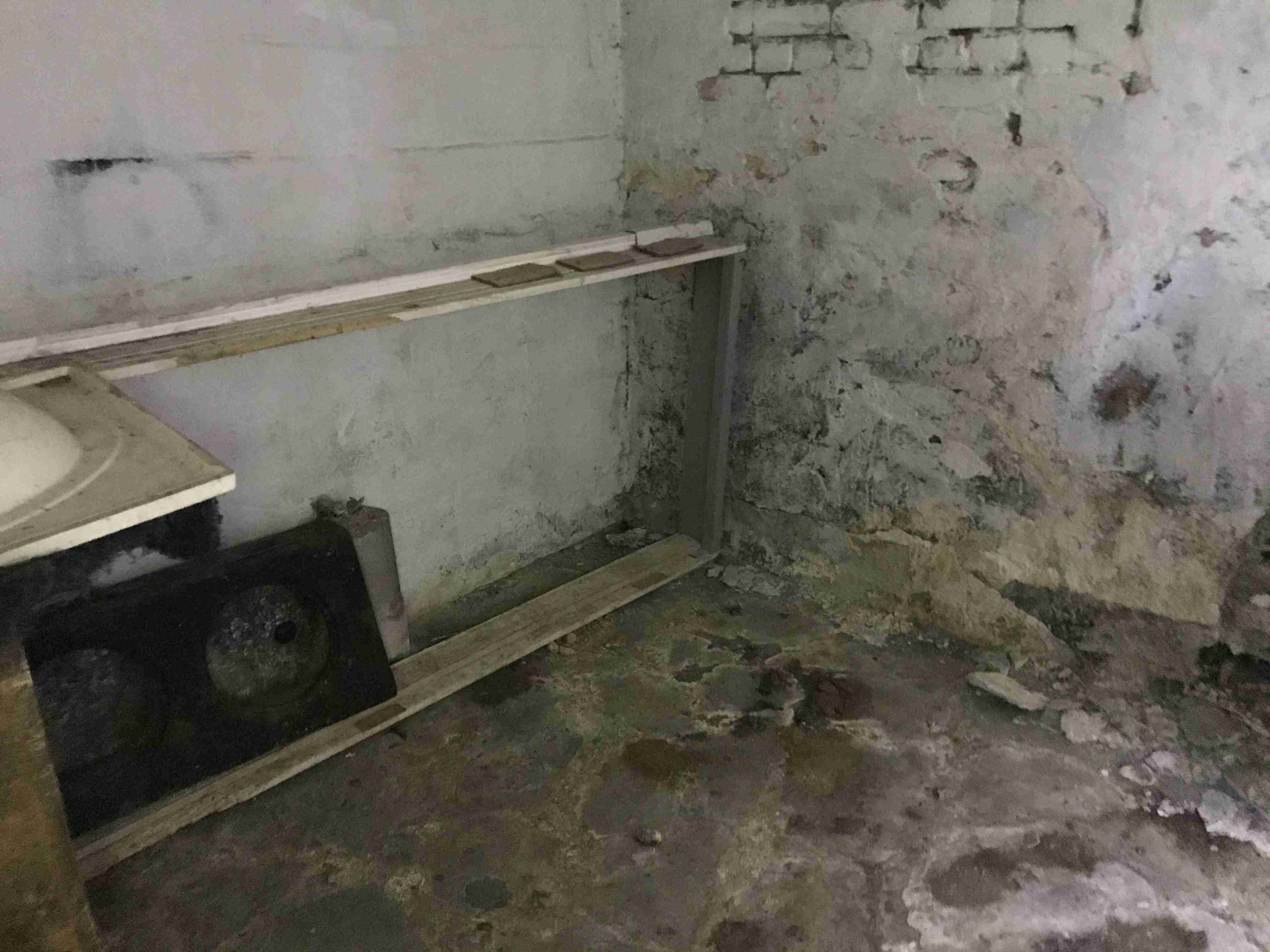 Photo Oct 13, 11 43 46 AM.jpg